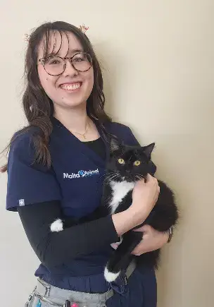 Karin, LVT Karin, LVT